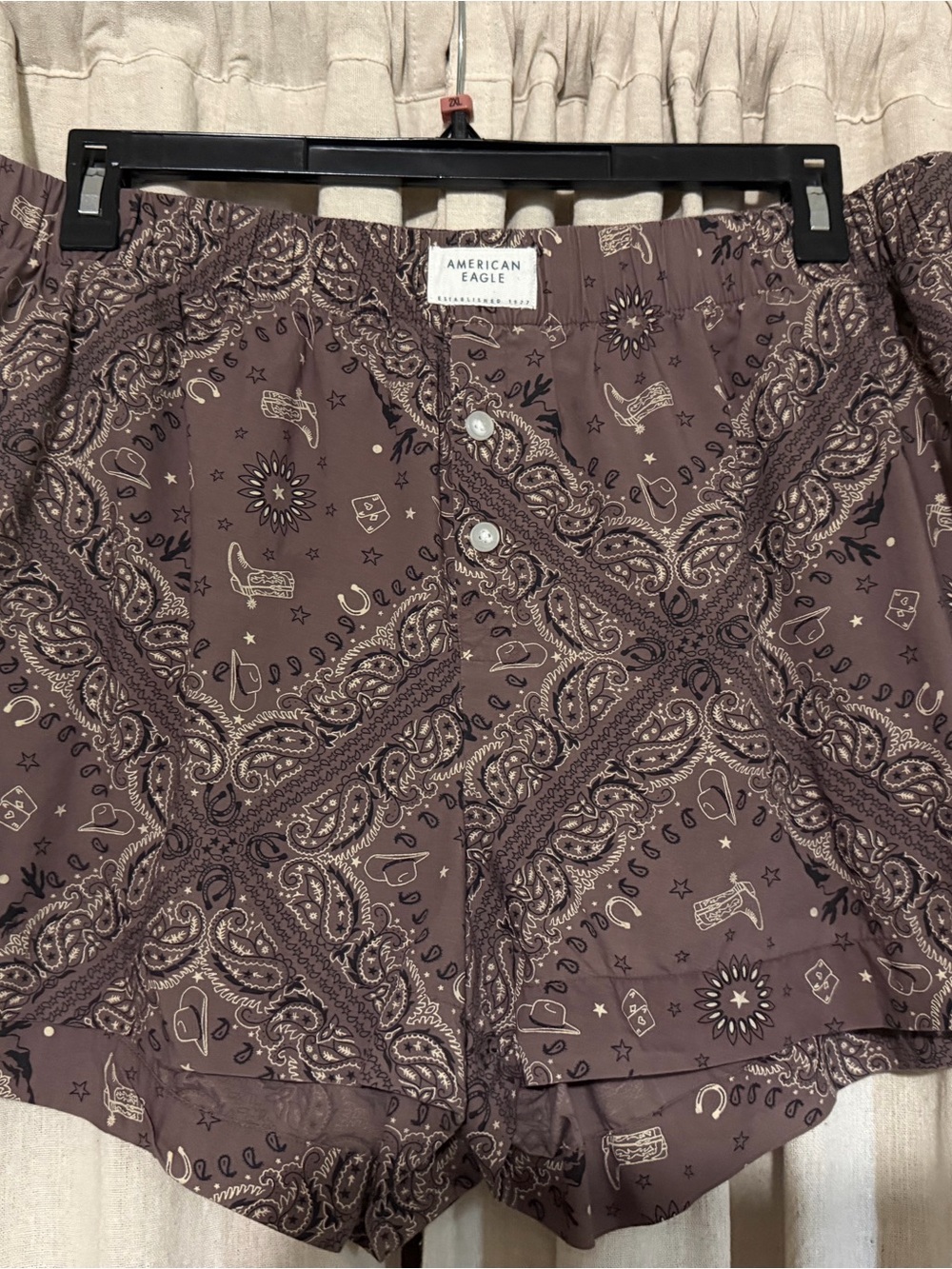 American Eagle Outfitters Brown Paisley bandana print boxer Shorts